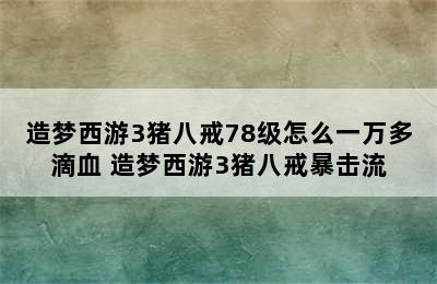 造梦西游3猪八戒78级怎么一万多滴血 造梦西游3猪八戒暴击流